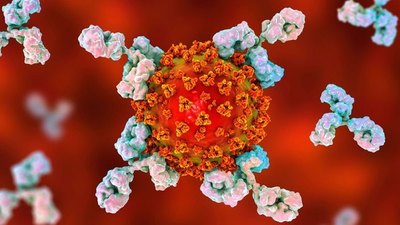Pandemia Covid: así como vamos, fin de año, además del din-din-don será con tapabocas - ADN Paraguayo