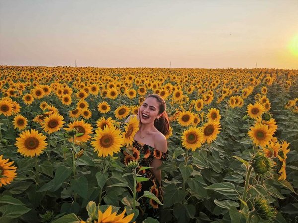Fiebre por foto con girasoles invade las redes sociales