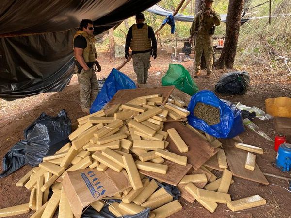 Senad incauta más de 3.500 kilos de marihuana en Amambay - Nacionales - ABC Color