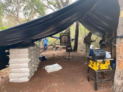 Senad incauta más de 3.500 kilos de marihuana en Amambay