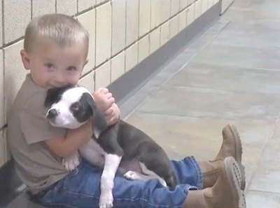 Crónica / Niño destinado a estar junto a esta mascotita
