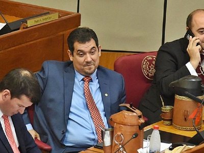 Senado aprueba pedido de informe a la Conajzar tras varios reclamos