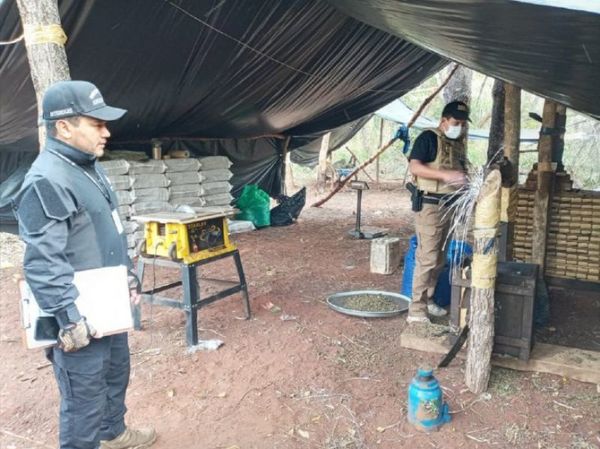 Senad incauta toneladas de marihuana tras tiroteo con narcos en Amambay