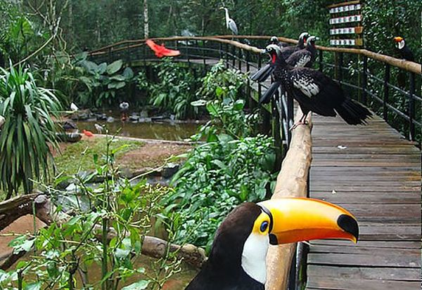 Parque de las Aves ofrece tarifa especial para moradores - Noticde.com