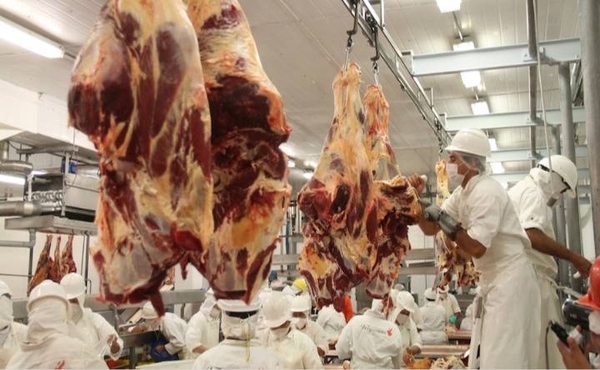 HOY / Plantean crear Instituto Nacional de la Carne para consolidar marca país
