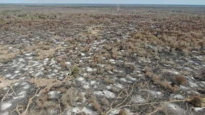 Alertan sobre rápido avance de incendio forestal en la zona de la ribera del Pilcomayo