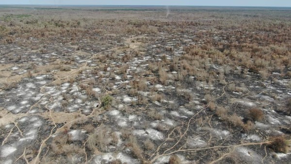 Alertan sobre rápido avance de incendio forestal en la zona de la ribera del Pilcomayo