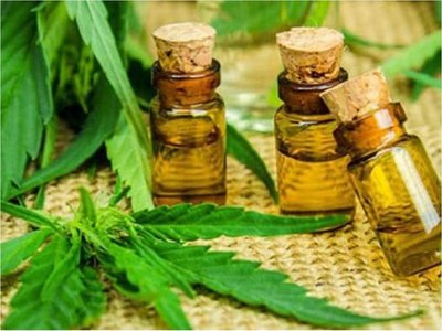 Mario Abdo veta ley que despenaliza el cannabis medicinal