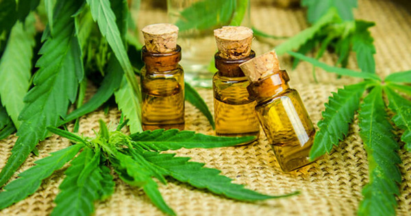 Ejecutivo vetó ley que despenaliza tenencia de cannabis para uso medicinal