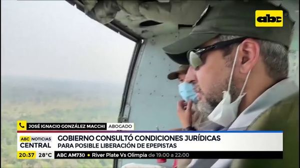 Gobierno consultó condiciones jurídicas para liberación de miembros del EPP - ABC Noticias - ABC Color