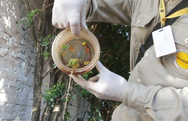 Reactivan mingas ambientales en Asunción y Central para prevenir brote del dengue » Ñanduti