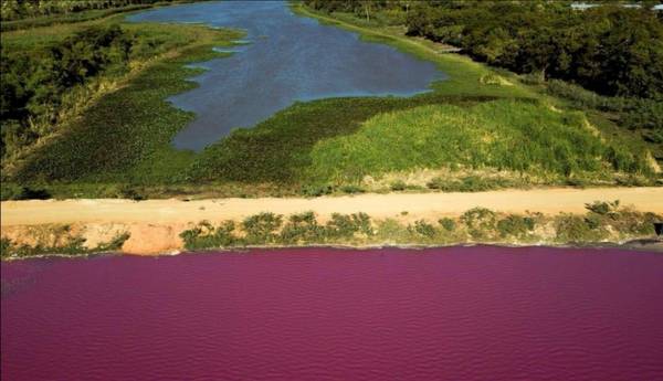 Establecen multa de más de G. 1.600 millones para WalTrading por contaminar la laguna Cerro
