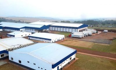 Athena Foods adecuará contrato con FrigoNorte