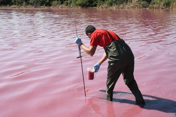 MADES aplicó multa de 20 mil jornales a empresa por contaminación de Laguna Cerro