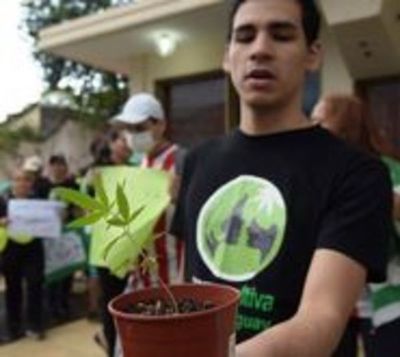 Mamá Cultiva rechaza el veto presidencial a ley de cannabis medicinal - Paraguay.com