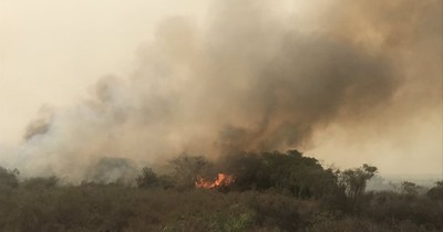 La Nación / Reportan focos de incendio en ruta Luque-San Ber