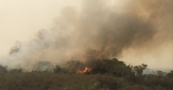 La Nación / Reportan focos de incendio en ruta Luque-San Ber