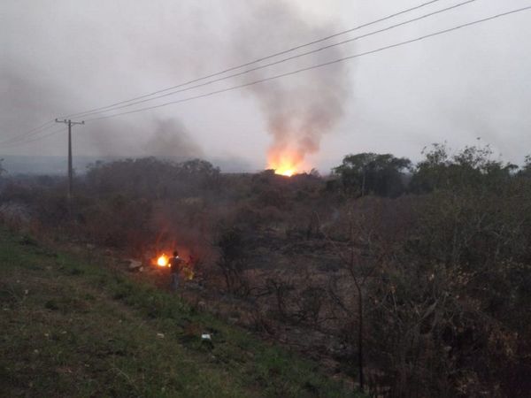 Incendio de grandes proporciones afecta reserva Lago Ypacaraí