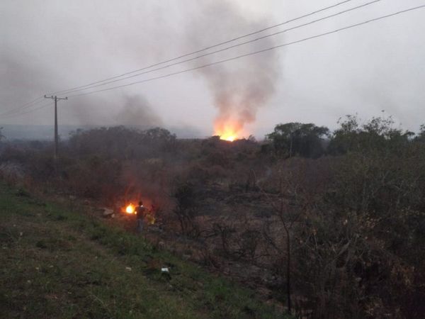 Incendio de grandes proporciones afecta a la reserva Lago Ypacaraí