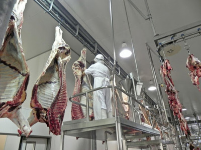 Athena asegura que el contrato con FrigoNorte “no representa riesgo para el mercado de la carne”
