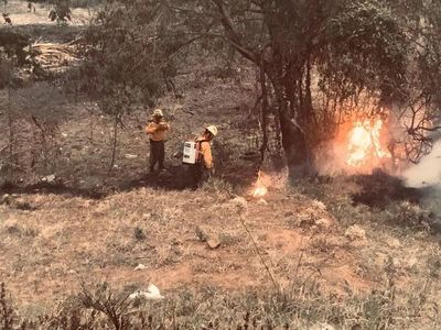 Controlan incendio de pastizales en la ruta Luque - San Bernardino - Nacionales - ABC Color