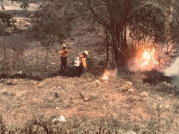 Controlan incendio de pastizales en la ruta Luque - San Bernardino - Nacionales - ABC Color