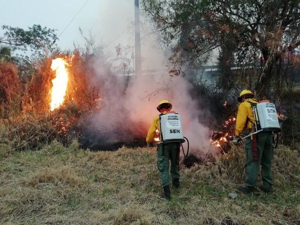 Incendio de grandes proporciones en ruta Luque-San Ber fue controlado