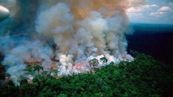 Gobierno brasileño envía misión para combatir incendios en el Pantanal » Ñanduti