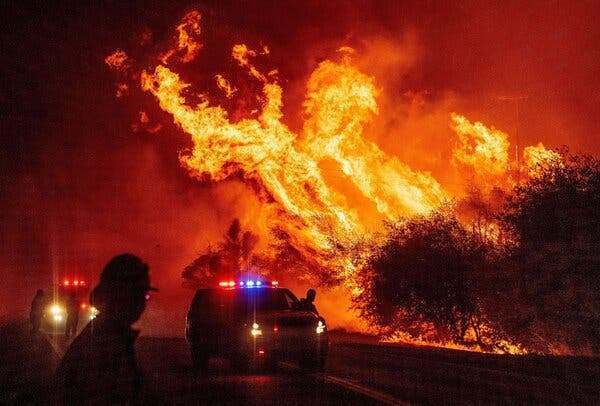 Al menos 30 muertos y decenas de desaparecidos por incendios forestales en EE.UU. - ADN Paraguayo