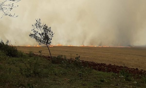 Incendio consume unas 30 hectáreas de cultivo de trigo