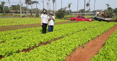 La Nación / Productores de varios departamentos recibirán semillas de hortalizas