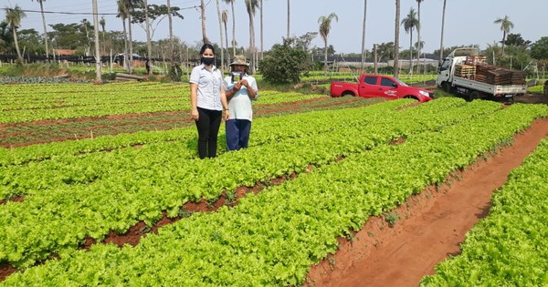 La Nación / Productores de varios departamentos recibirán semillas de hortalizas