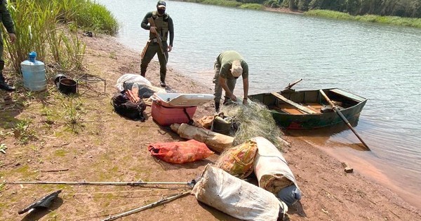 La Nación / Caen presuntos cazadores furtivos