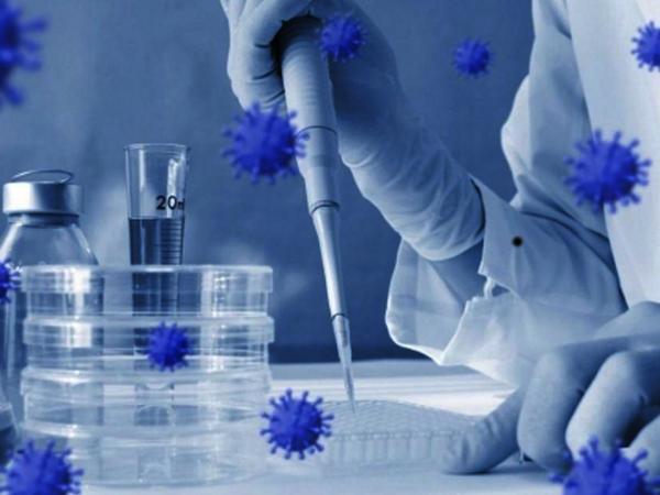 Incógnitas, certezas y dudas tras seis meses de pandemia