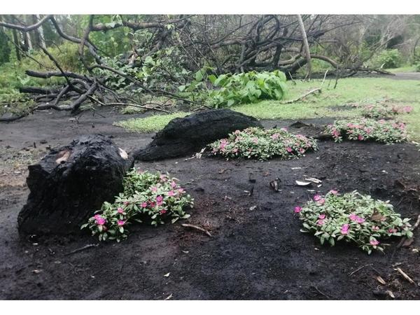 El fuego vuelve a acechar a un año del incendio forestal en el Pantanal