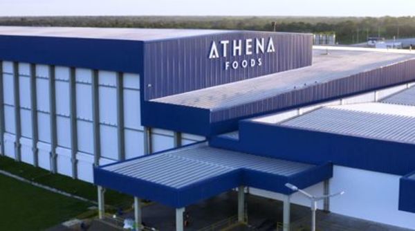 Athena defiende contrato con FrigoNorte