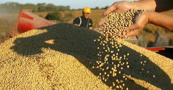 La Nación / Rebote de la actividad económica se vuelve más fuerte que el proyectado, afirman