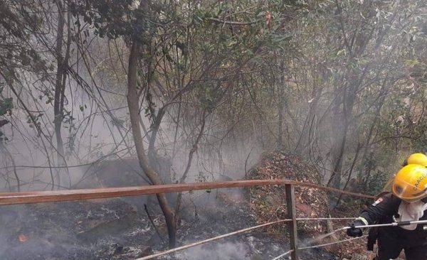 HOY / Incendio consumió parte del cerro Antena de Caacupé