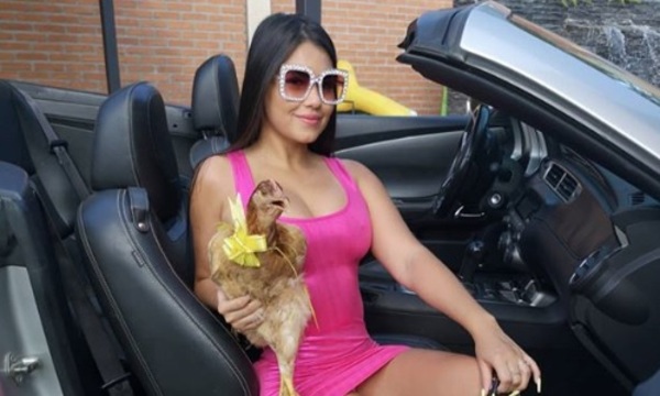 ‘Hortensia’ la gallina de Laurys Diva fue lleva de urgencias al veterinario