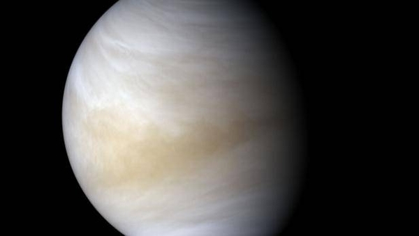 HOY / Un descubrimiento revela "vida potencial" en Venus
