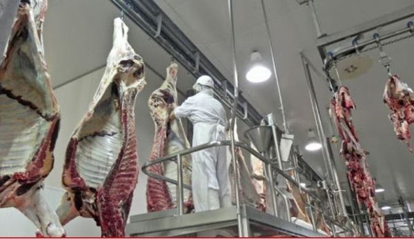 Athena asegura que el contrato con FrigoNorte “no representa riesgo para el mercado de la carne”