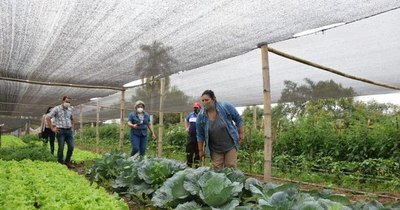 La Nación / Productores avícolas y horticultores reciben herramientas para ejecución de sus proyectos