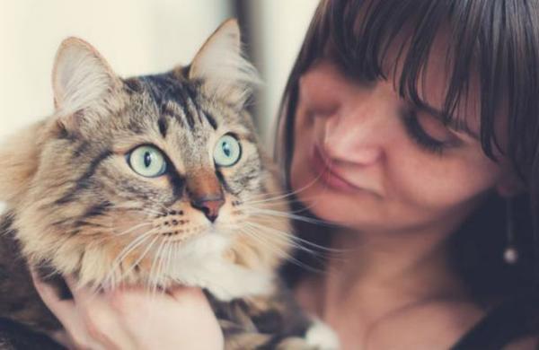 Una mujer descubre que está embarazada gracias a su gato - SNT