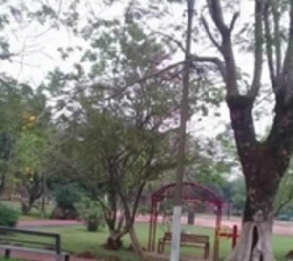 hombre muere a balazos en una plaza - Paraguay.com