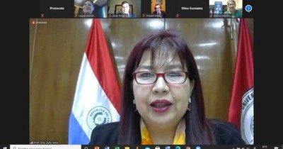 La Nación / IICS-UNA celebra workshop sobre infecciones virales con expertos de 13 países