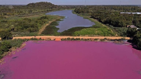 HOY / Empresa se defiende y sostiene no ser la causante de la contaminación de la Laguna Cerro
