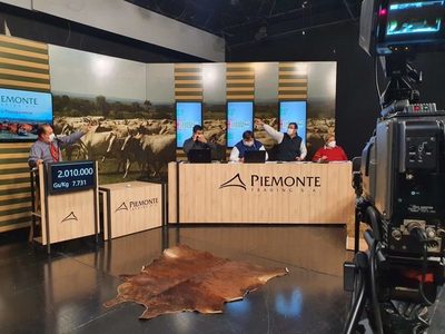 Mucho interés por invernada para terminación rápida en feria de Piemonte