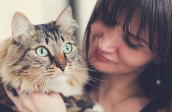 Una mujer descubre que está embarazada gracias a su gato - C9N