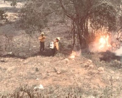 Crónica / Incendios: no se puede identificar responsables he’i