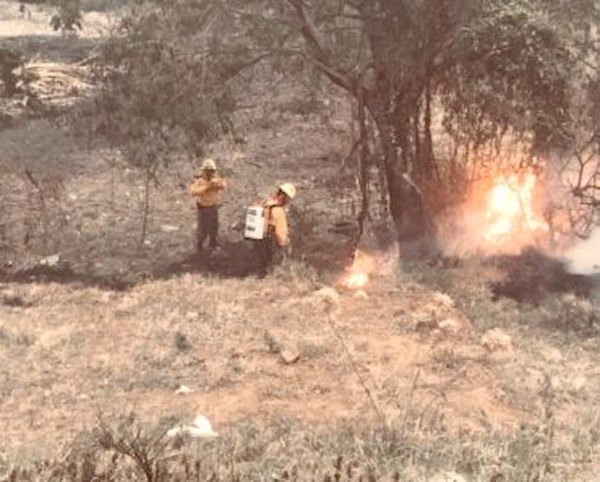 Crónica / Incendios: no se puede identificar responsables he’i